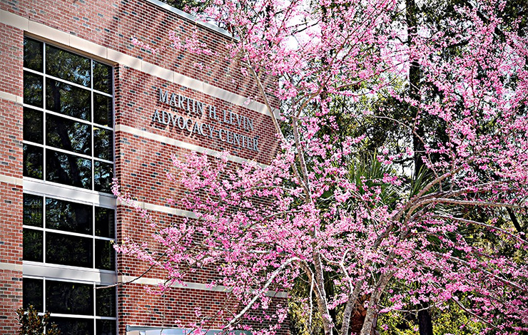 UF Law University